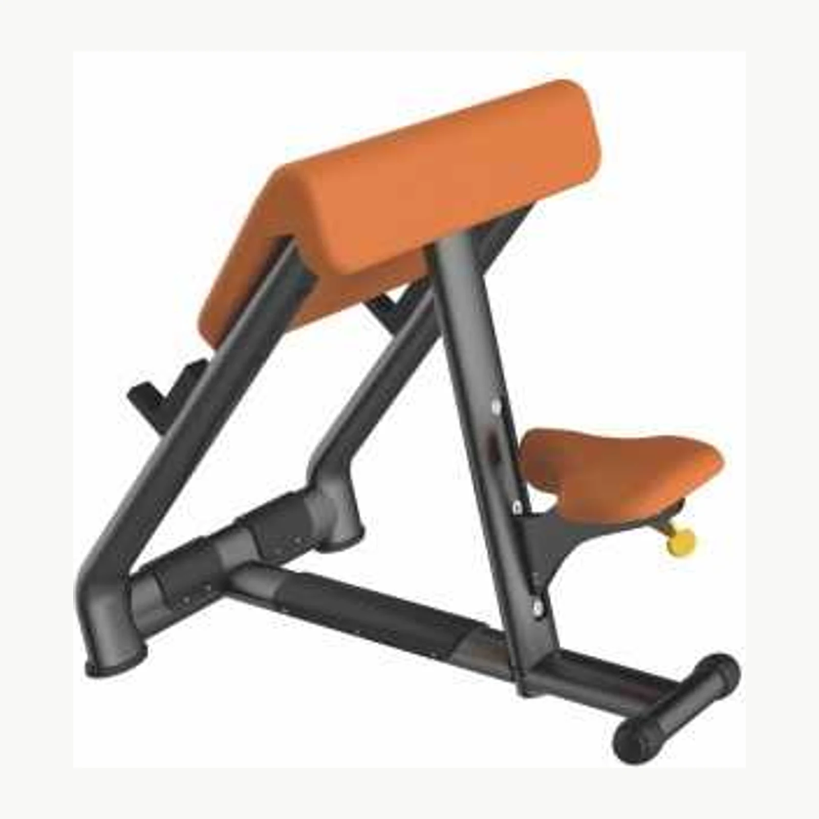 Скамья Скотта Land Fitness LD-7023